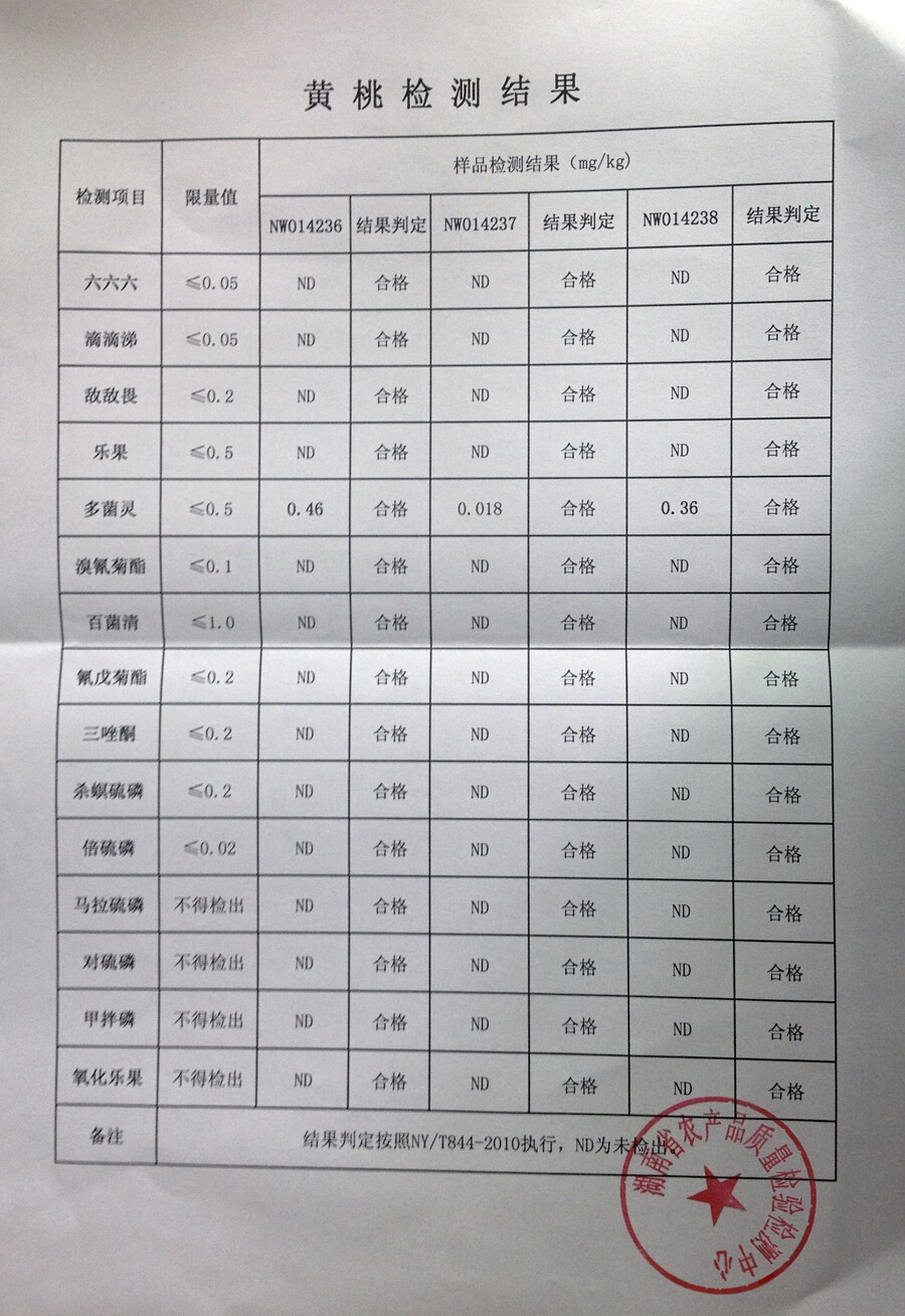 检测报告